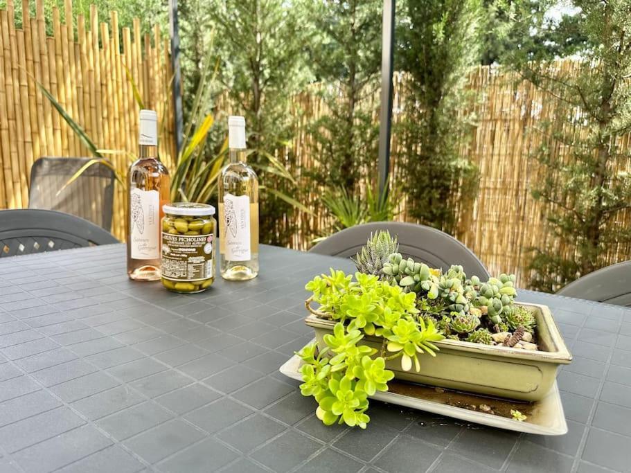 Villa La Cigale, Maussane Les Alpilles 外观 照片