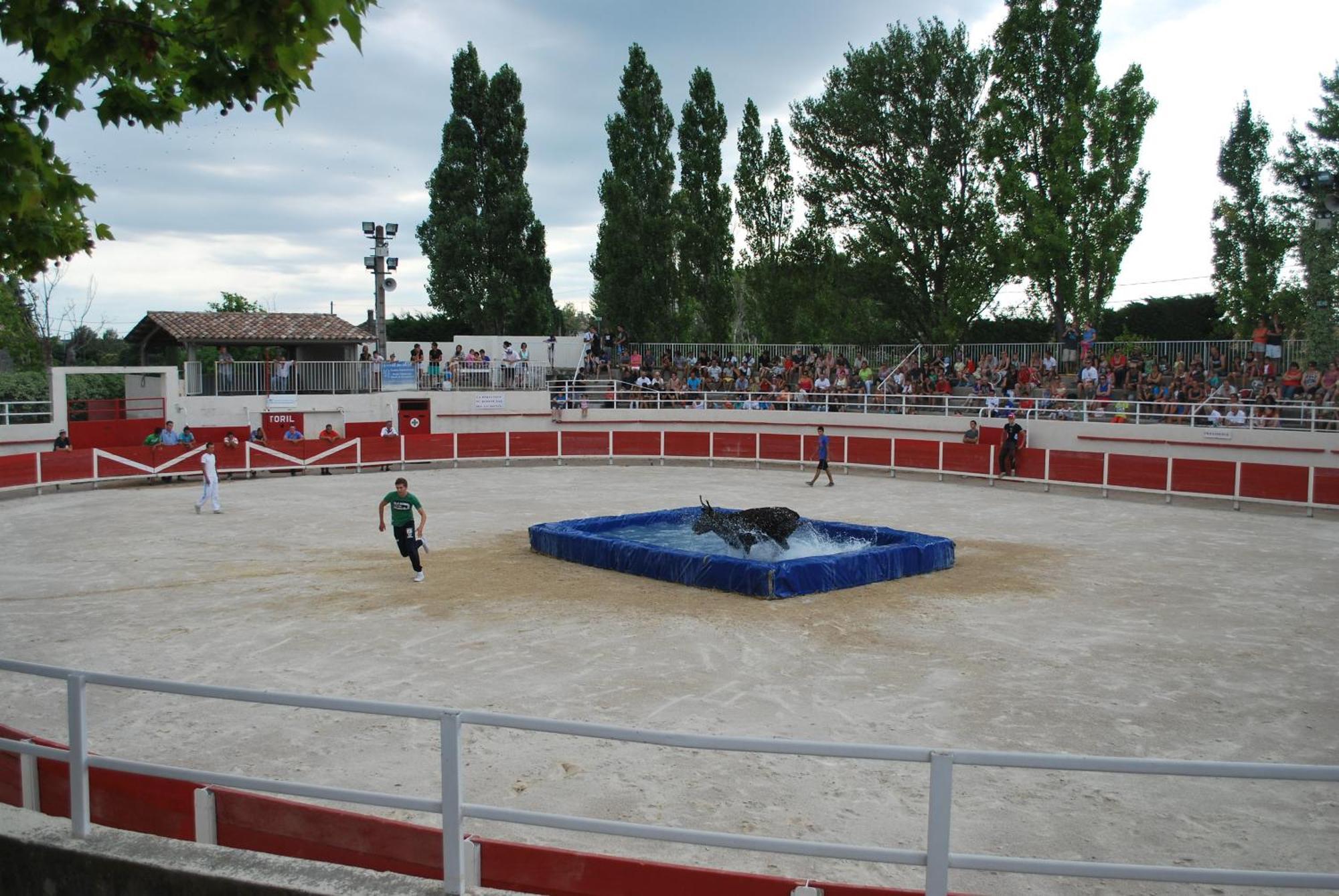 Villa La Cigale, Maussane Les Alpilles 外观 照片