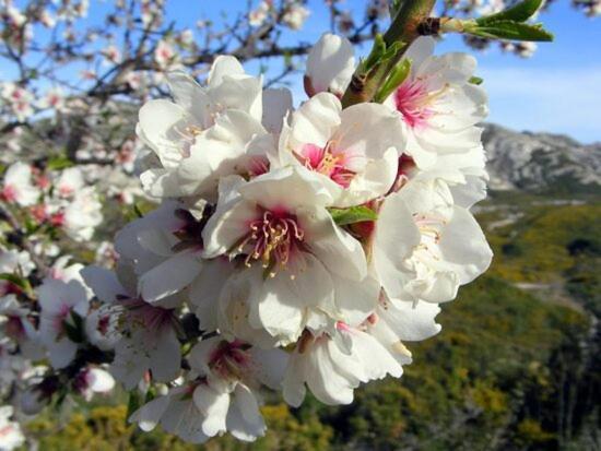 Villa La Cigale, Maussane Les Alpilles 外观 照片